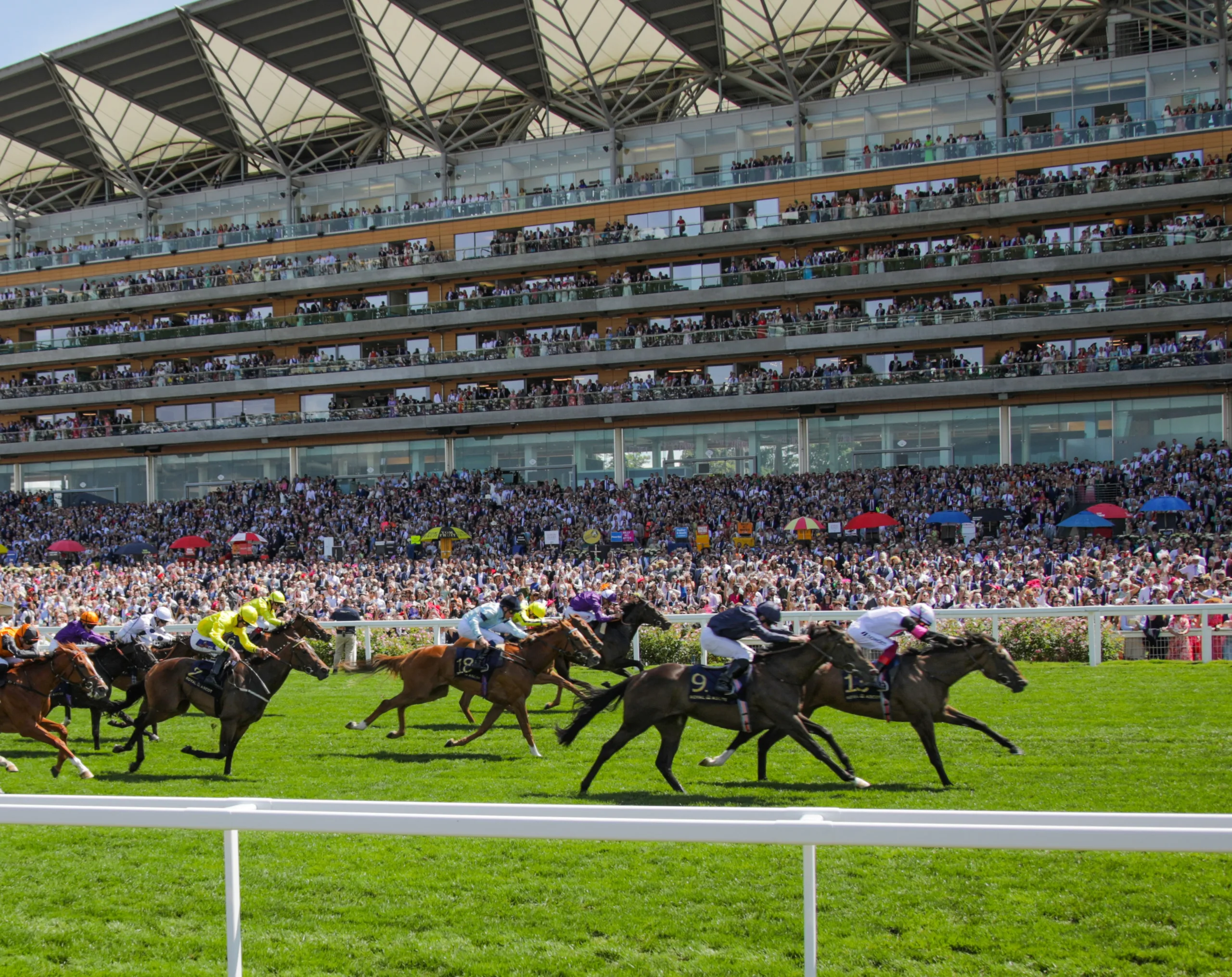 Things to do in Ascot