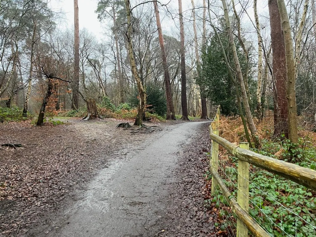 Black Park near Maidenhead